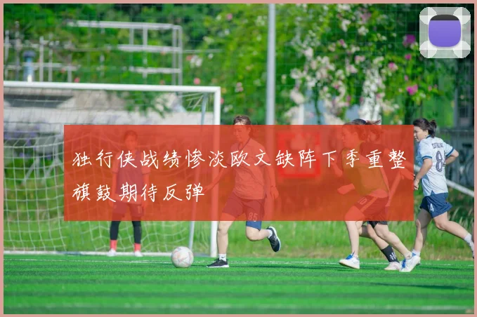 独行侠战绩惨淡欧文缺阵下季重整旗鼓期待反弹